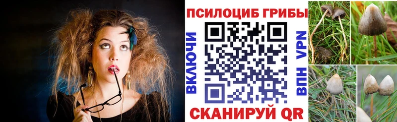 гидра ТОР  Корсаков  Псилоцибиновые грибы Psilocybine cubensis 